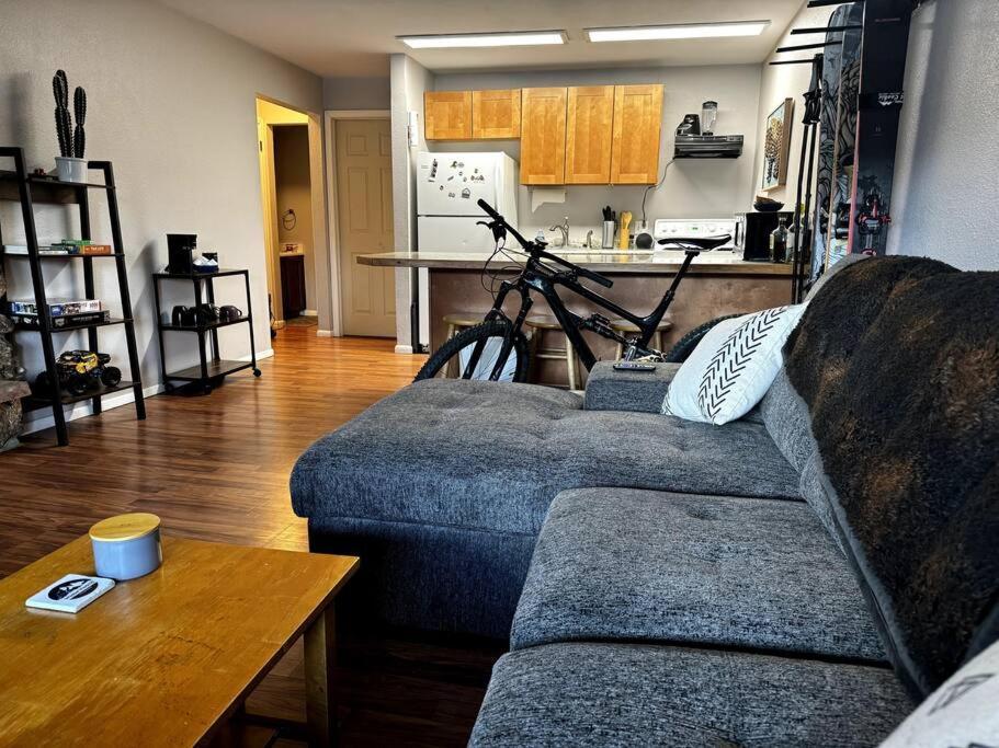 Cozy Condo In Winter Park - On Blue Bus Route - Walk To Downtown, Restaurants, Grocery Εξωτερικό φωτογραφία